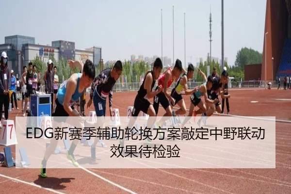 EDG新赛季辅助轮换方案敲定中野联动效果待检验（leyu）